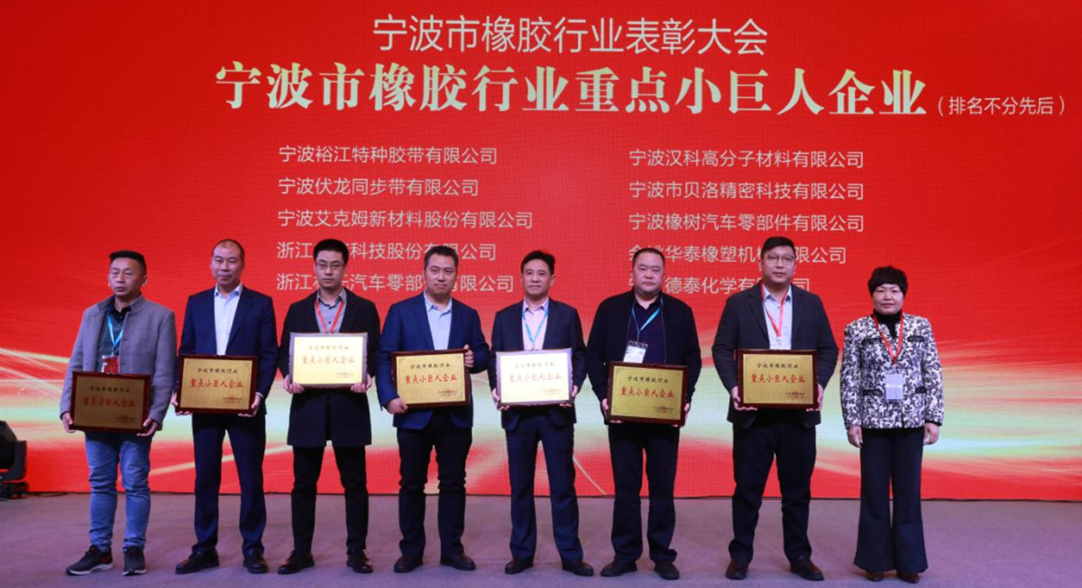 喜報 - 貝洛榮獲“寧波市橡膠行業(yè)優(yōu)秀企業(yè)家”、“寧波市橡膠行業(yè)誠信企業(yè)”、“寧波市橡膠行業(yè)重點小巨人企業(yè)”獎項！