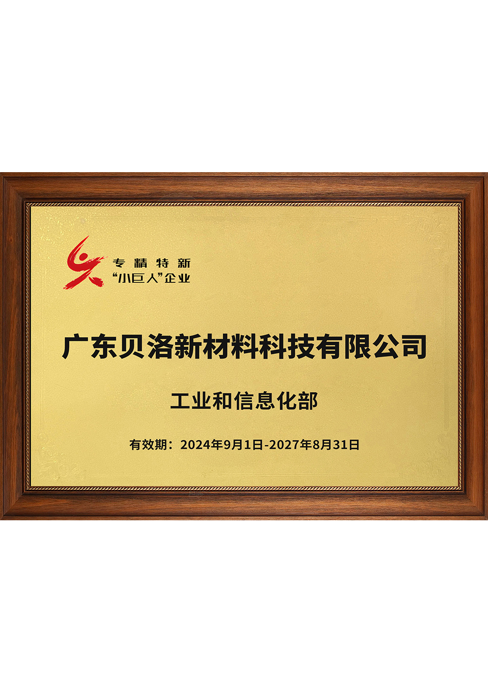 國家級(jí)專精特新“小巨人”企業(yè)